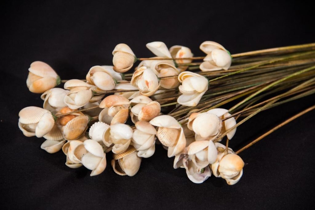 Flor de Concha | Bege (Dúzia) – Artesanato Cristina